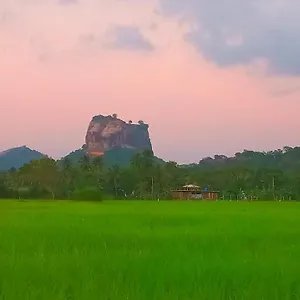 Nice View , Sigirîya Sri Lanka